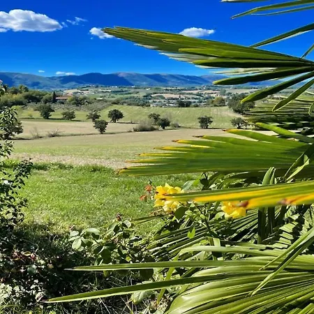 Villa Spoleto-poolside-slps 20 1 Hour To Rome - Fabulous Gardens, Bbq Area, Pool *