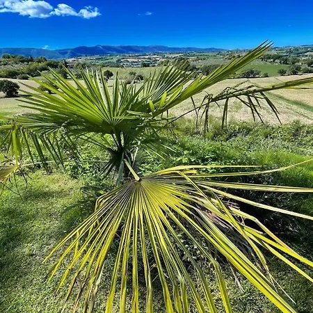 Villa Spoleto-poolside-slps 20 1 Hour To Rome - Fabulous Gardens, Bbq Area, Pool