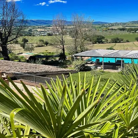 Villa Spoleto-poolside-slps 20 1 Hour To Rome - Fabulous Gardens, Bbq Area, Pool