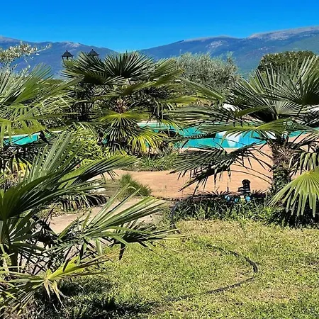 Villa Spoleto-poolside-slps 20 1 Hour To Rome - Fabulous Gardens, Bbq Area, Pool